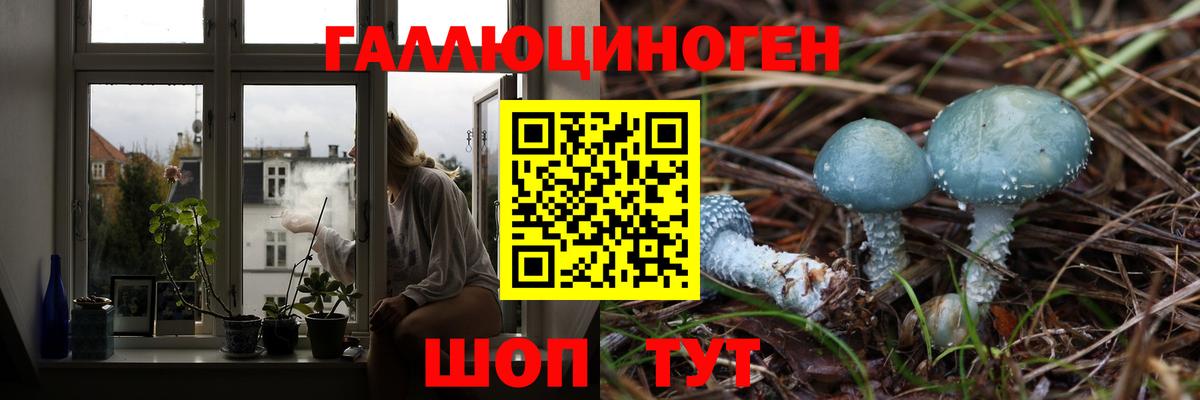 купить наркоту  Псилоцибиновые грибы мухоморы  Вход с VPN  Екатеринбург  Галлюциногенные грибы мицелий 